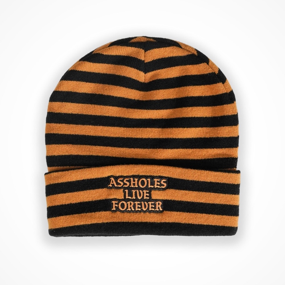 ASSHOLES LIVE FOREVER • Brown Black Stripe beanie Brand new